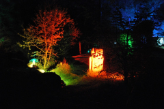 Waldlichter 2012_5