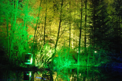 Waldlichter 2012_10