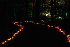 Waldlichter 2012_17