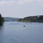 Spaziergang am Sorpesee_49