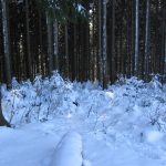 Müssenberg im Schnee_2