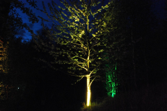 Waldlichter 2012_3