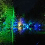 Waldlichter 2012_13