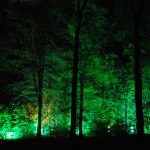 Waldlichter 2012_42