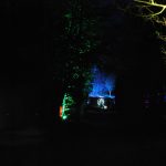 Waldlichter 2012_4