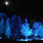 Waldlichter 2012_53