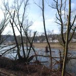 Die Ruhr bei Neheim nach dem Hochwasser im Januar_3