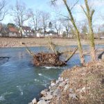 Die Ruhr bei Neheim nach dem Hochwasser im Januar_7