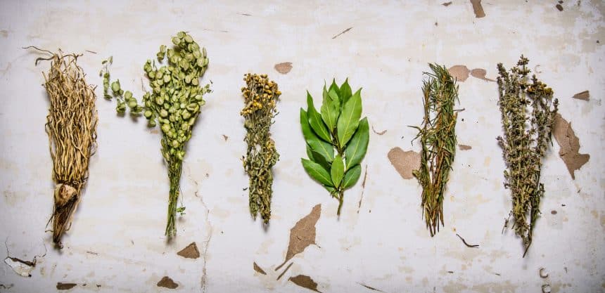 A set of herbs. On rustic background.